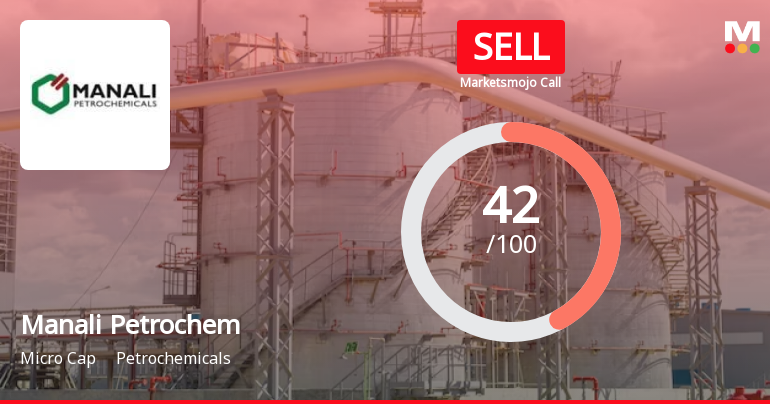 Manali Petrochem Sees Revision in Market Evaluation Amid Mixed Financial Signals
