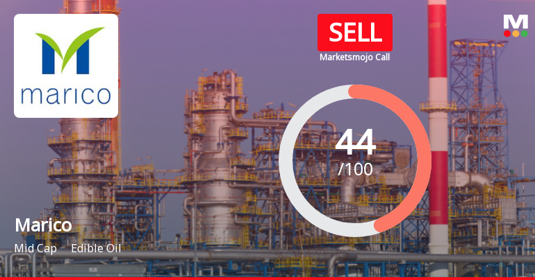 Marico's Market Assessment Reflects Mixed Signals Amidst Edible Oil Sector Dynamics