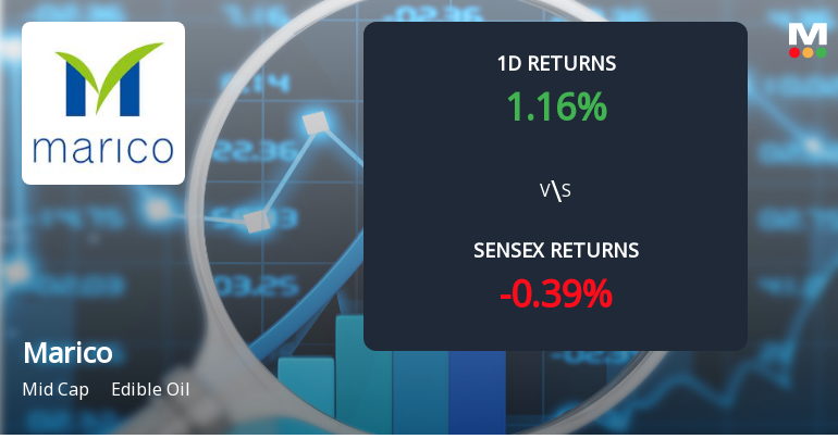 Marico Sees Significant Open Interest Surge Amid Market Momentum