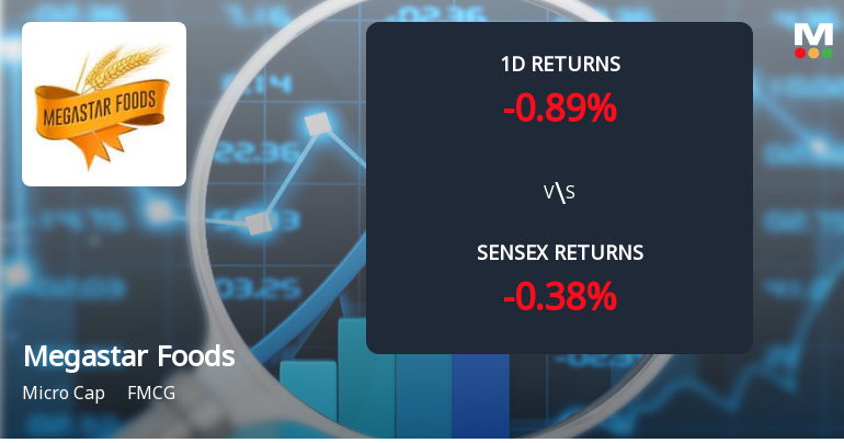 Megastar Foods Surges with Unprecedented Buying Interest, Potential Multi-Day Upper Circuit