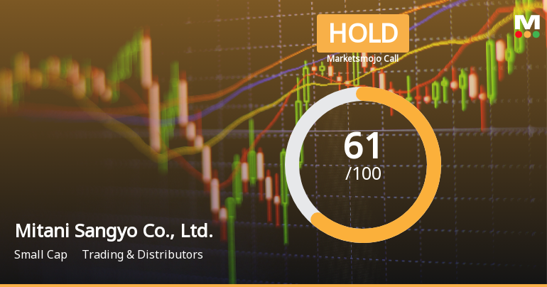 Mitani Sangyo's Valuation Adjustment Highlights Financial Metrics and Market Resilience