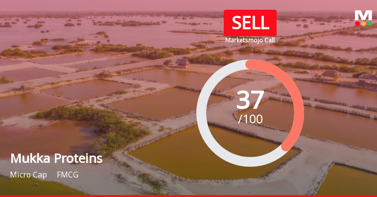 Mukka Proteins Sees Revision in Market Evaluation Amid Mixed Financial Signals