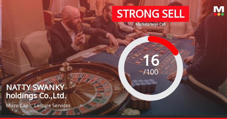 NATTY SWANKY Holdings Faces Market Shift Amid Declining Financial Performance and Profitability Concerns