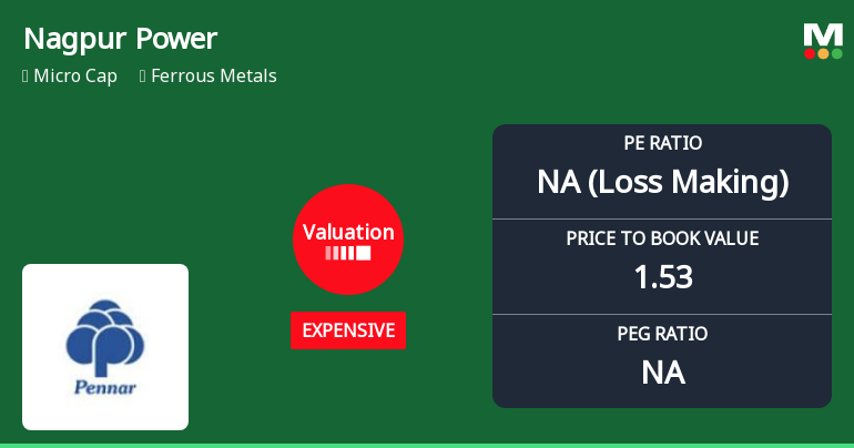 Valuation Shift Alters Price Attractiveness of Nagpur Power & Industries