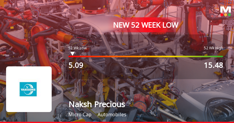 Naksh Precious Metals Stock Falls to 52-Week Low of Rs.5.09