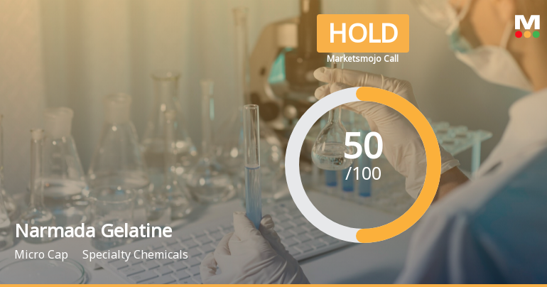 Narmada Gelatine Sees Revision in Market Evaluation Amid Mixed Financial Signals