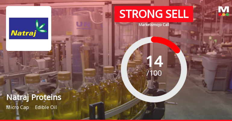 Natraj Proteins Sees Revision in Market Evaluation Amidst Challenging Financials