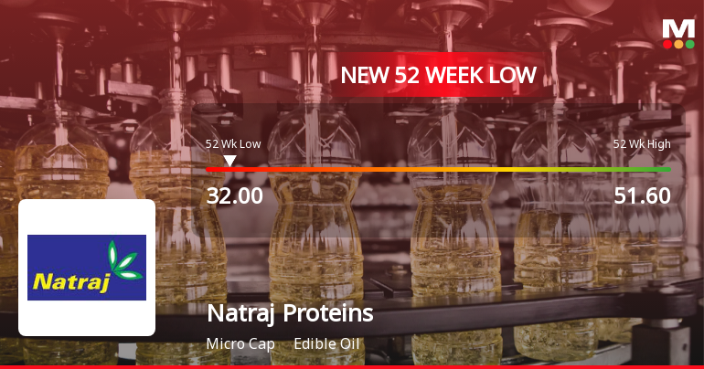 Natraj Proteins Stock Falls to 52-Week Low of Rs.32 Amidst Continued Downtrend