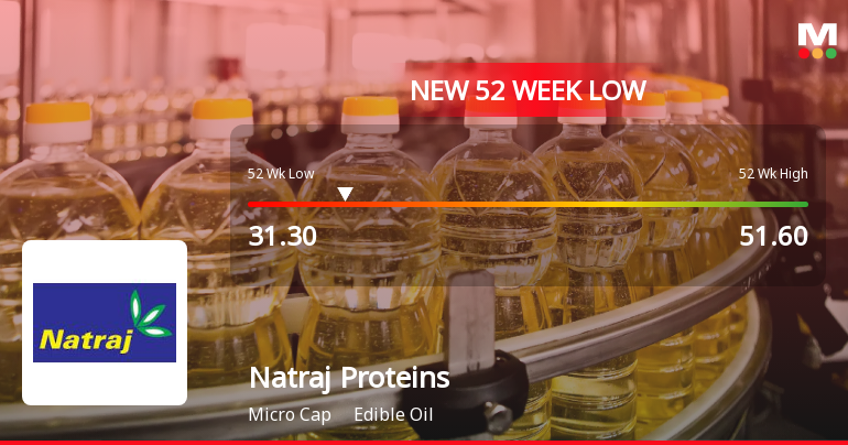 Natraj Proteins Stock Falls to 52-Week Low of Rs.31.3 Amidst Continued Underperformance