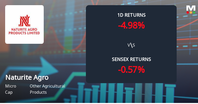 Naturite Agro Products Faces Intense Selling Pressure Amid Consecutive Losses
