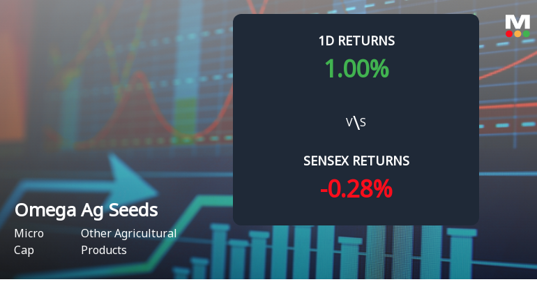 Omega Ag Seeds (Punjab) Faces Intense Selling Pressure Amid Consecutive Losses