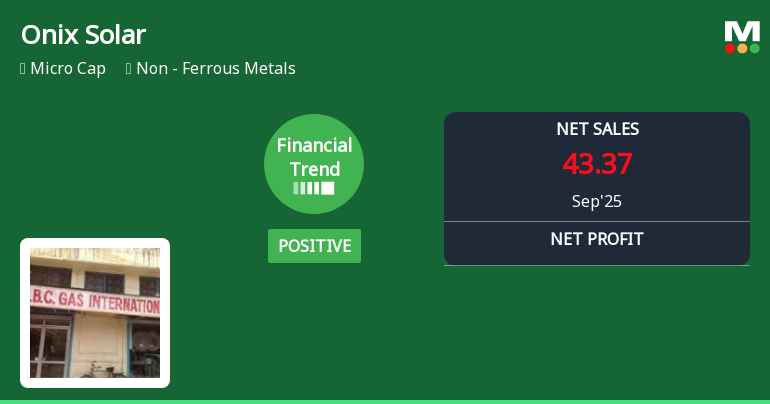 Onix Solar Energy’s Latest Quarterly Results Reflect Mixed Financial Trends Amid Sector Challenges