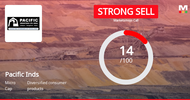 Pacific Inds Sees Revision in Market Assessment Amid Challenging Fundamentals