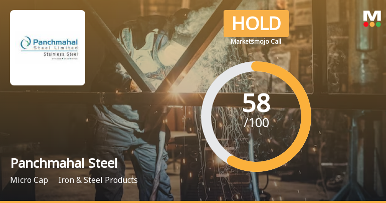Panchmahal Steel Sees Revision in Market Evaluation Amid Mixed Financial Signals
