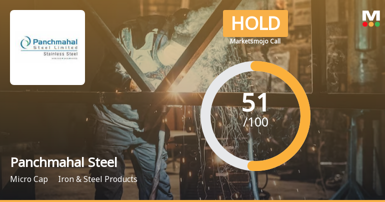 Panchmahal Steel Sees Revision in Market Evaluation Amid Mixed Financial Signals