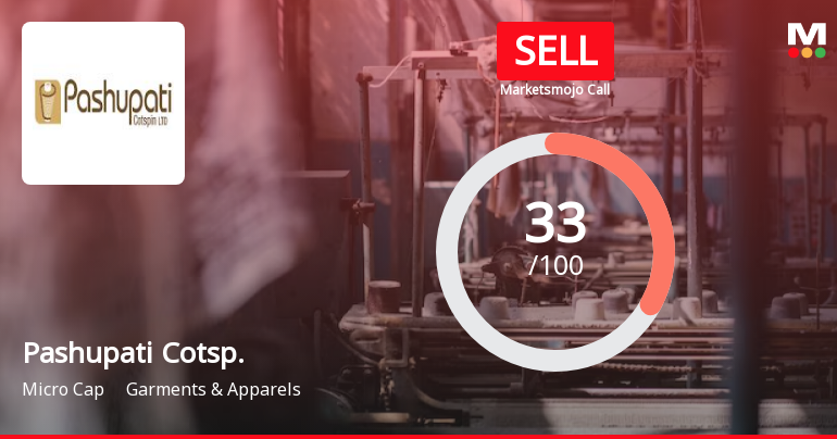 Pashupati Cotsp. Sees Revision in Market Evaluation Amid Mixed Financial Signals