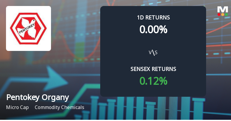 Pentokey Organy (India) Sees Unprecedented Buying Interest, Edges Towards Multi-Day Upper Circuit