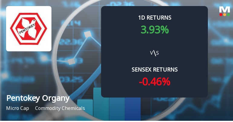 Pentokey Organy (India) Faces Intense Selling Pressure Amid Market Volatility