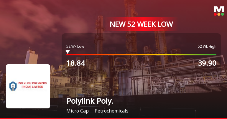 Polylink Polymers (India) Falls to 52-Week Low of Rs.18.84 Amidst Continued Downtrend