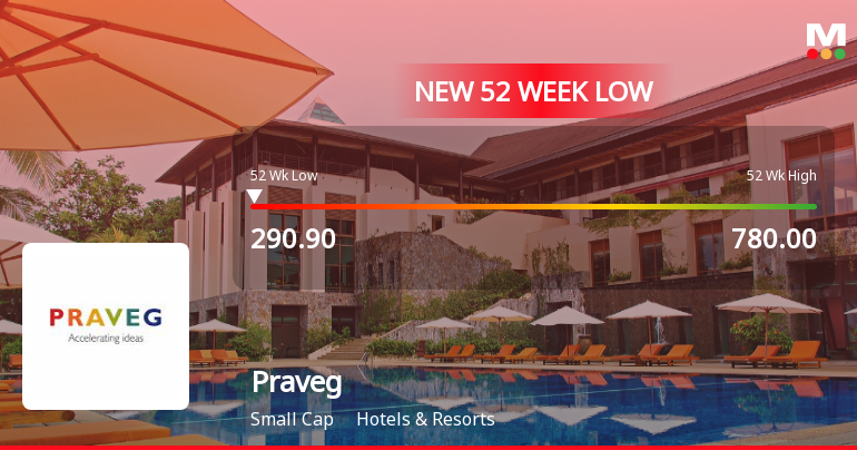 Praveg Stock Falls to 52-Week Low of Rs.290.9 Amid Market Pressure