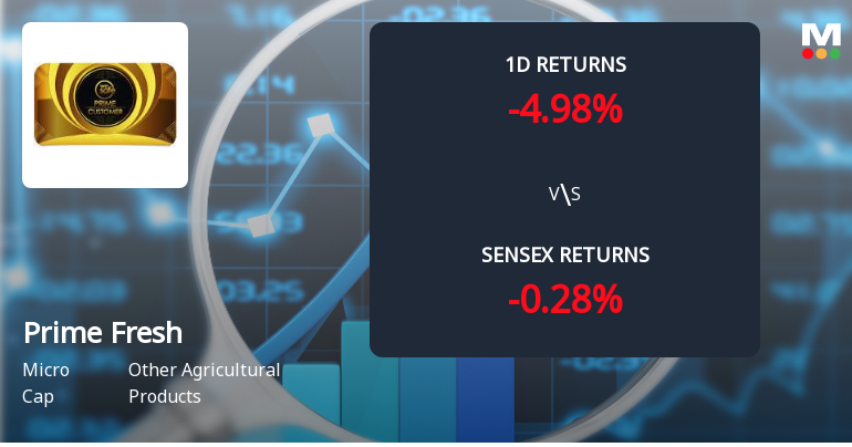 Prime Fresh Faces Intense Selling Pressure Amid Lower Circuit Lockdown