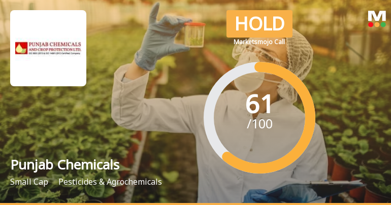 Punjab Chemicals Sees Revision in Market Assessment Amid Mixed Financial Signals