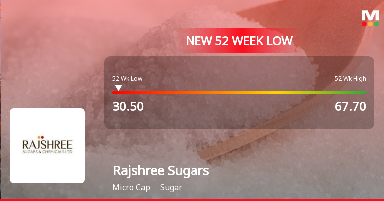 Rajshree Sugars & Chemicals Falls to 52-Week Low of Rs.30.5 Amidst Prolonged Downtrend