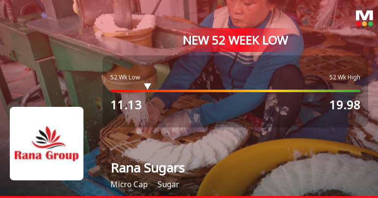 Rana Sugars Stock Falls to 52-Week Low Amidst Continued Underperformance