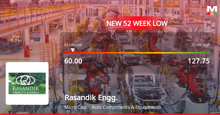 Rasandik Engineering Industries India Hits 52-Week Low at Rs.60