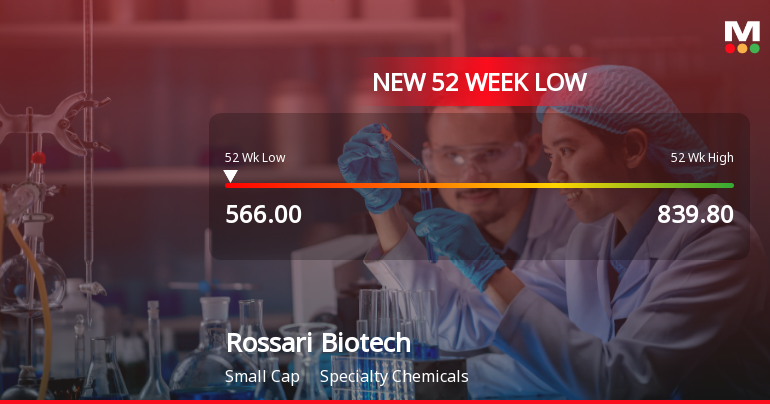 Rossari Biotech Falls to 52-Week Low Amid Continued Downtrend