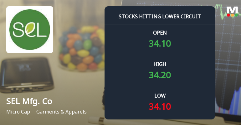 SEL Manufacturing Company Hits Lower Circuit Amid Heavy Selling Pressure