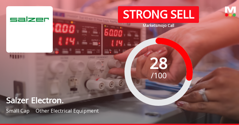 Salzer Electronics: Analytical Perspective Shifts Amidst Challenging Market and Financial Trends