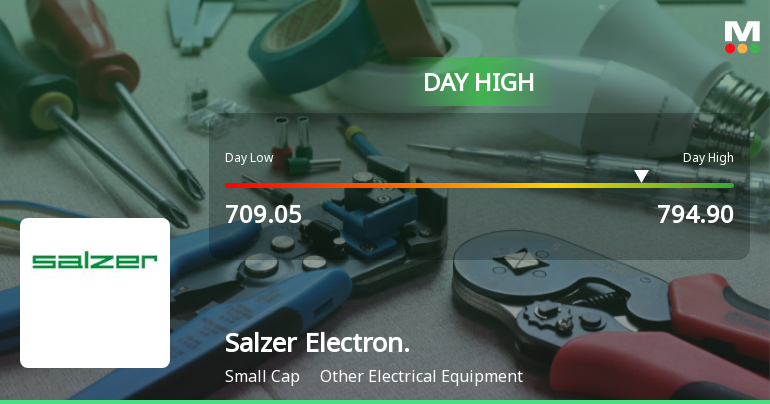 Salzer Electronics Hits Intraday High with Strong 10.82% Surge