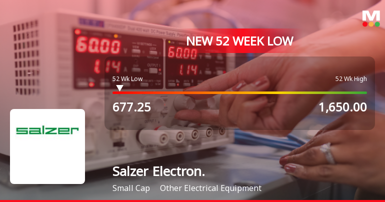 Salzer Electronics Falls to 52-Week Low Amidst Prolonged Downtrend