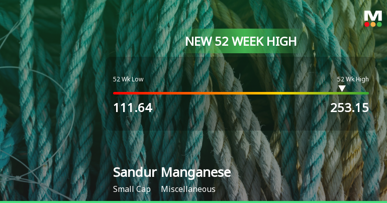 Sandur Manganese & Iron Ores Hits New 52-Week High at Rs.253.15