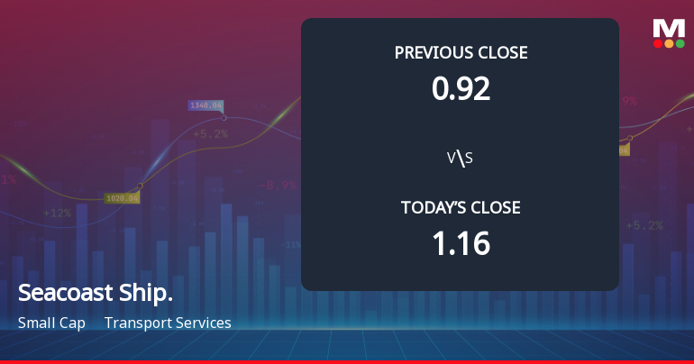 Seacoast Shipping Services Opens with Sharp Gap Down Amid Market Concerns