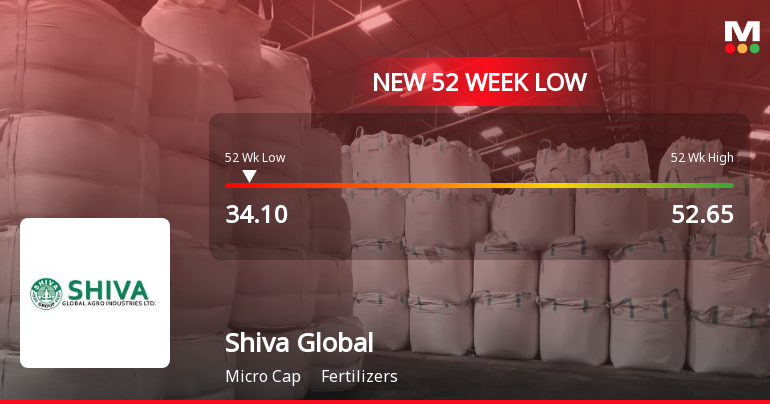 Shiva Global Agro Industries Stock Hits 52-Week Low at Rs.34.1