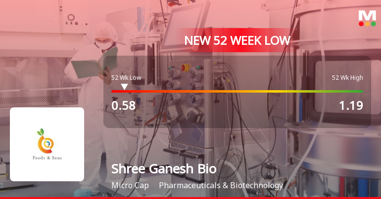 Shree Ganesh Biotech India Stock Hits 52-Week Low at Rs.0.58