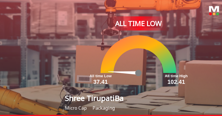 Shree Tirupati Balajee Agro Trading Co. Stock Hits All-Time Low Amid Prolonged Downtrend
