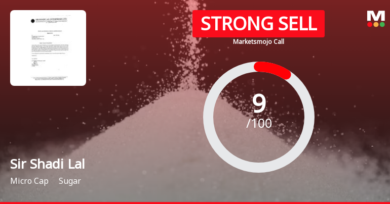 Sir Shadi Lal’s Market Assessment Revised Amidst Challenging Financials