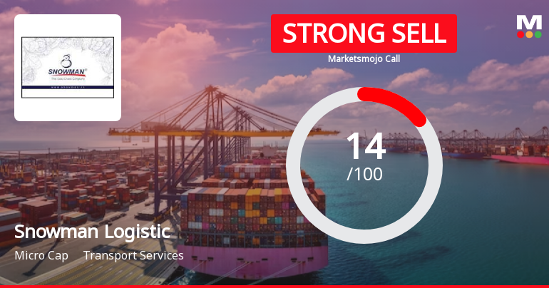 Snowman Logistic Sees Revision in Market Assessment Amid Challenging Fundamentals