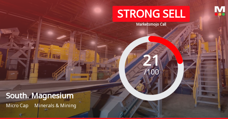 South. Magnesium Sees Revision in Market Assessment Amid Challenging Fundamentals