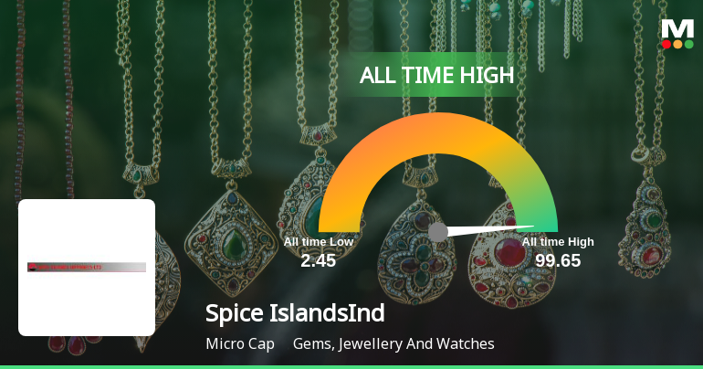 Spice Islands Industries Stock Hits All-Time High at Rs.99.65