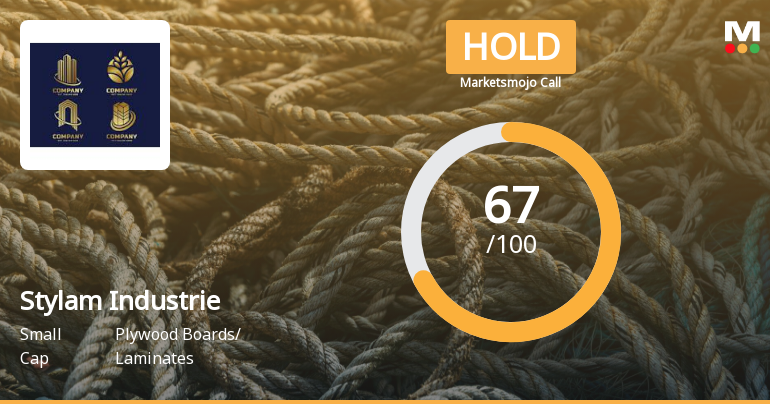 Stylam Industrie Sees Revision in Market Evaluation Amid Mixed Financial Signals