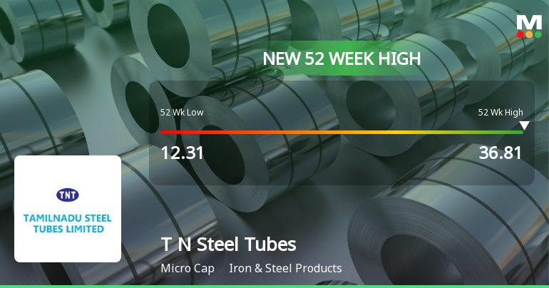 Tamilnadu Steel Tubes Hits New 52-Week High at Rs.36.81