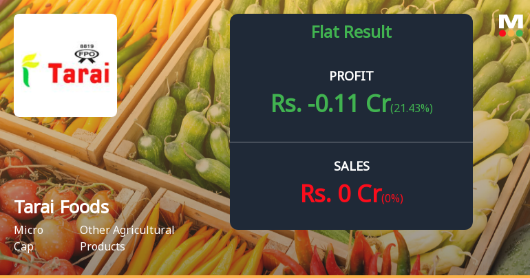 Tarai Foods Q2 FY26: Zero Revenue, Mounting Losses Signal Operational Paralysis