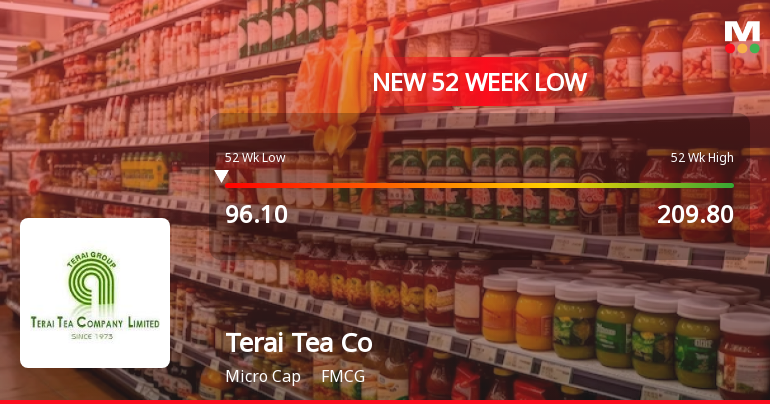 Terai Tea Co Falls to 52-Week Low of Rs.95 Amidst Continued Downtrend