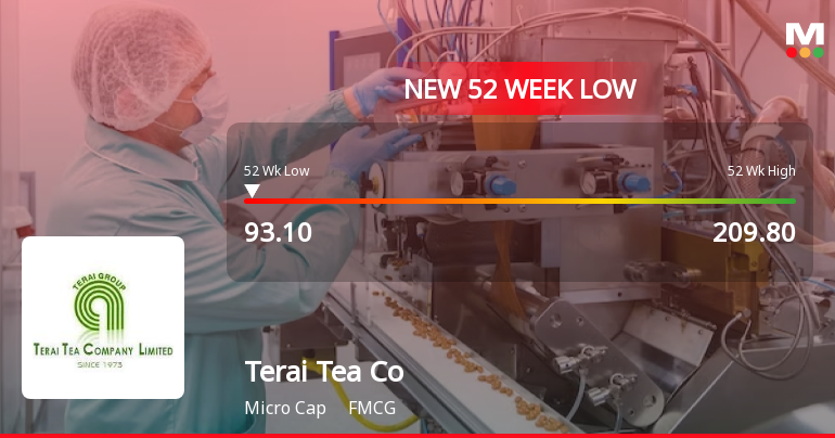 Terai Tea Co Falls to 52-Week Low of Rs.93.1 Amidst Continued Downtrend