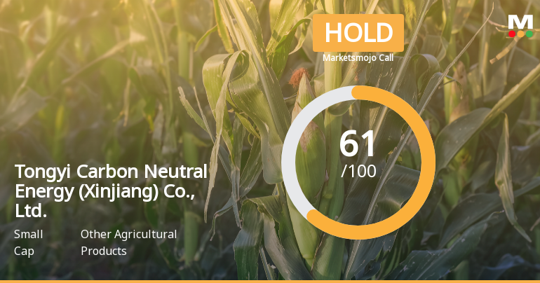 Tongyi Carbon Neutral Energy Adjusts Valuation Amid Strong Profit Growth and Market Performance