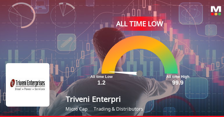 Triveni Enterprises Stock Hits All-Time Low Amid Prolonged Downtrend